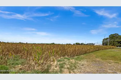 Tbd Nc-403, Mount Olive, NC 28365 - Photo 14