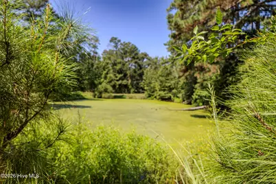 602 E Gertrude Street, Fairmont, NC 28340 - Photo 54