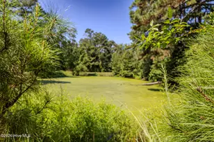 602 E Gertrude St, Fairmont, NC 28340 - Photo 54