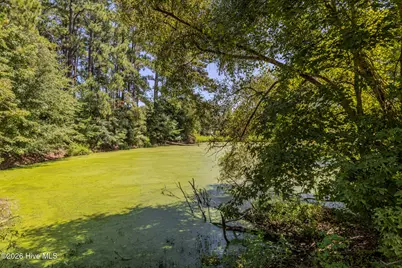 602 E Gertrude Street, Fairmont, NC 28340 - Photo 72