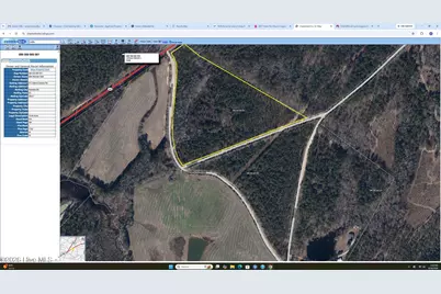 Tbd Eugene Woodward Road, Mount Croghan, SC 29727 - Photo 1