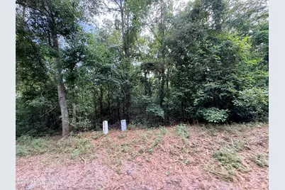 1428 Rainbow Falls Road, North Augusta, SC 29860 - Photo 2