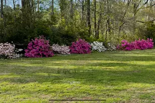540 Meadow Ln, Burgaw, NC 28425 - Photo 58