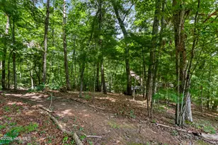 317 W Hills Dr, Murphy, NC 28906 - Photo 60
