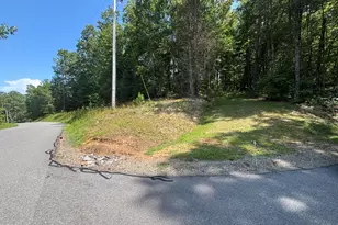 4 Majestic Mountain Trail, Murphy, NC 28906 - Photo 1