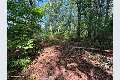 4 Majestic Mountain Trail, Murphy, NC 28906 - Photo 10