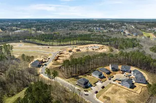 605 Hillock Ct, Evans, GA 30809 - Photo 60
