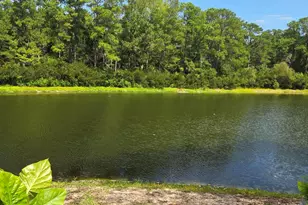 19 Gate 1, Carolina Shores, NC 28467 - Photo 42