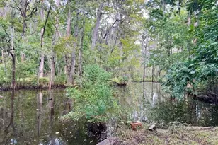 220 River Rd, Washington, NC 27889 - Photo 48