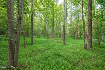 8942 Spearman Road, Reidsville, NC 27320 - Photo 44