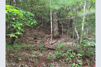 Lot 9 Confederate Circle, Murphy, NC 28906 - Photo 6