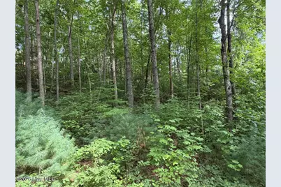 Lot 9 Confederate Circle, Murphy, NC 28906 - Photo 4