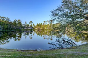 36 Beaumont Circle, Hampstead, NC 28443 - Photo 60
