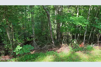 Lot 9 Peachtree Hills Lane, Murphy, NC 28906 - Photo 10