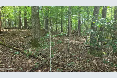 Lot 9 Peachtree Hills Lane, Murphy, NC 28906 - Photo 26