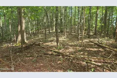 Lot 9 Peachtree Hills Lane, Murphy, NC 28906 - Photo 28