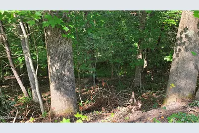 Lot 9 Peachtree Hills Lane, Murphy, NC 28906 - Photo 14