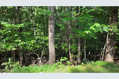 Lot 9 Peachtree Hills Lane, Murphy, NC 28906 - Photo 12