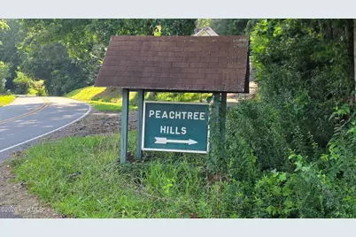 Lot 9 Peachtree Hills Lane, Murphy, NC 28906 - Photo 4