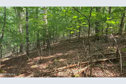 Lot 9 Peachtree Hills Lane, Murphy, NC 28906 - Photo 22
