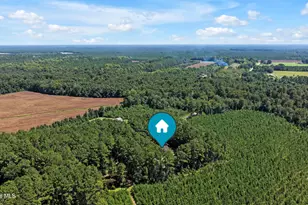 893 Horse Branch Rd, Burgaw, NC 28425 - Photo 60