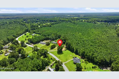 541 Sycamore Drive, Burgaw, NC 28425 - Photo 44