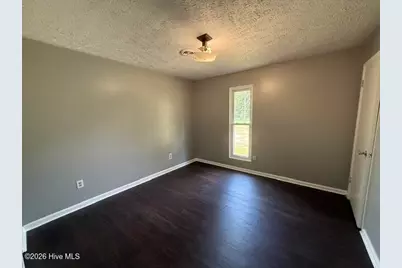 16760 Douglas Avenue, Laurinburg, NC 28352 - Photo 4