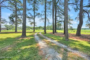 3275 Horse Branch Rd, Burgaw, NC 28425 - Photo 36