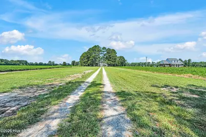 3275 Horse Branch Road, Burgaw, NC 28425 - Photo 2