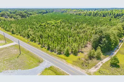 Tbd Blue Springs Road, Red Springs, NC 28377 - Photo 6