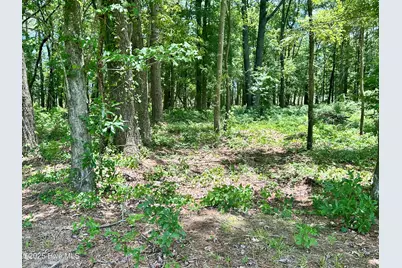 Lot 70 Winfield Lane, Belhaven, NC 27810 - Photo 10