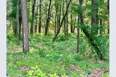 Lot 70 Winfield Lane, Belhaven, NC 27810 - Photo 12