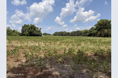 685 Snake Road, Lumberton, NC 28358 - Photo 2