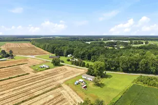 1230 Beech Springs Rd, Tyner, NC 27980 - Photo 28