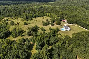 2171 Gene Howard Rd, Stapleton, GA 30823 - Photo 8