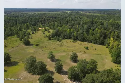 2171 Gene Howard Road, Stapleton, GA 30823 - Photo 38