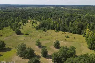 2171 Gene Howard Rd, Stapleton, GA 30823 - Photo 38