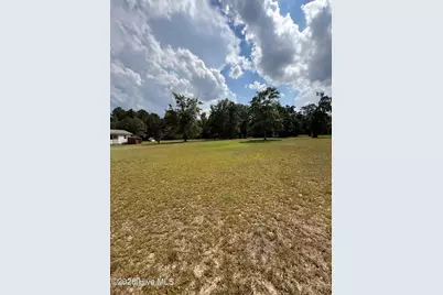 2171 Gene Howard Road, Stapleton, GA 30823 - Photo 46