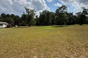 2171 Gene Howard Rd, Stapleton, GA 30823 - Photo 46