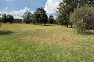 2171 Gene Howard Rd, Stapleton, GA 30823 - Photo 40
