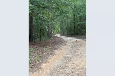 2171 Gene Howard Road, Stapleton, GA 30823 - Photo 52