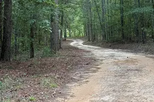 2171 Gene Howard Rd, Stapleton, GA 30823 - Photo 52