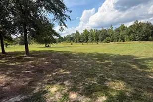 2171 Gene Howard Rd, Stapleton, GA 30823 - Photo 44
