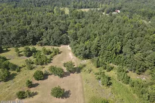 2171 Gene Howard Rd, Stapleton, GA 30823 - Photo 58
