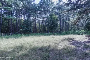 1536 Marks Creek Church Rd, Laurel Hill, NC 28351 - Photo 42