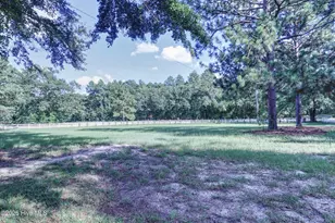 1536 Marks Creek Church Rd, Laurel Hill, NC 28351 - Photo 6