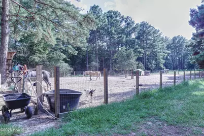 1536 Marks Creek Church Road, Laurel Hill, NC 28351 - Photo 40