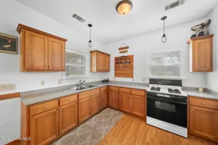 435 Canoochee Bypass, Midville, GA 30441 - Photo 46
