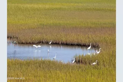 652 Ocean Boulevard W, Holden Beach, NC 28462 - Photo 92