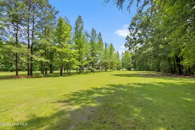 205 Carrie Drive, Archer Lodge, NC 27527 - Photo 66